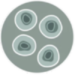 icon12