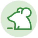 icon13